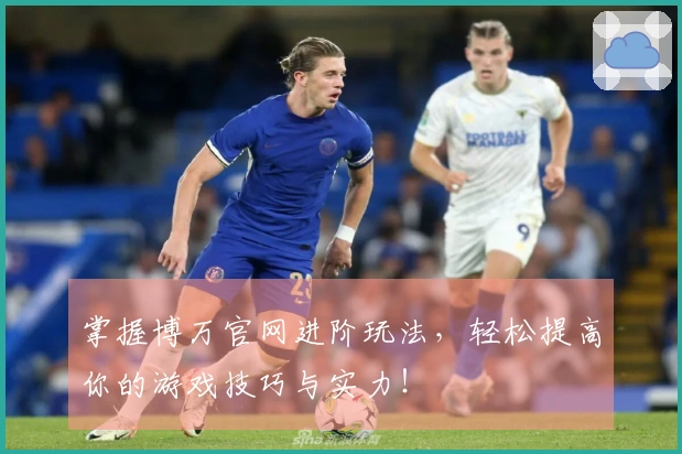 掌握博万官网进阶玩法,轻松提高你的游戏技巧与实力!
