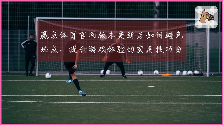 赢点体育官网版本更新后如何避免坑点，提升游戏体验的实用技巧分享